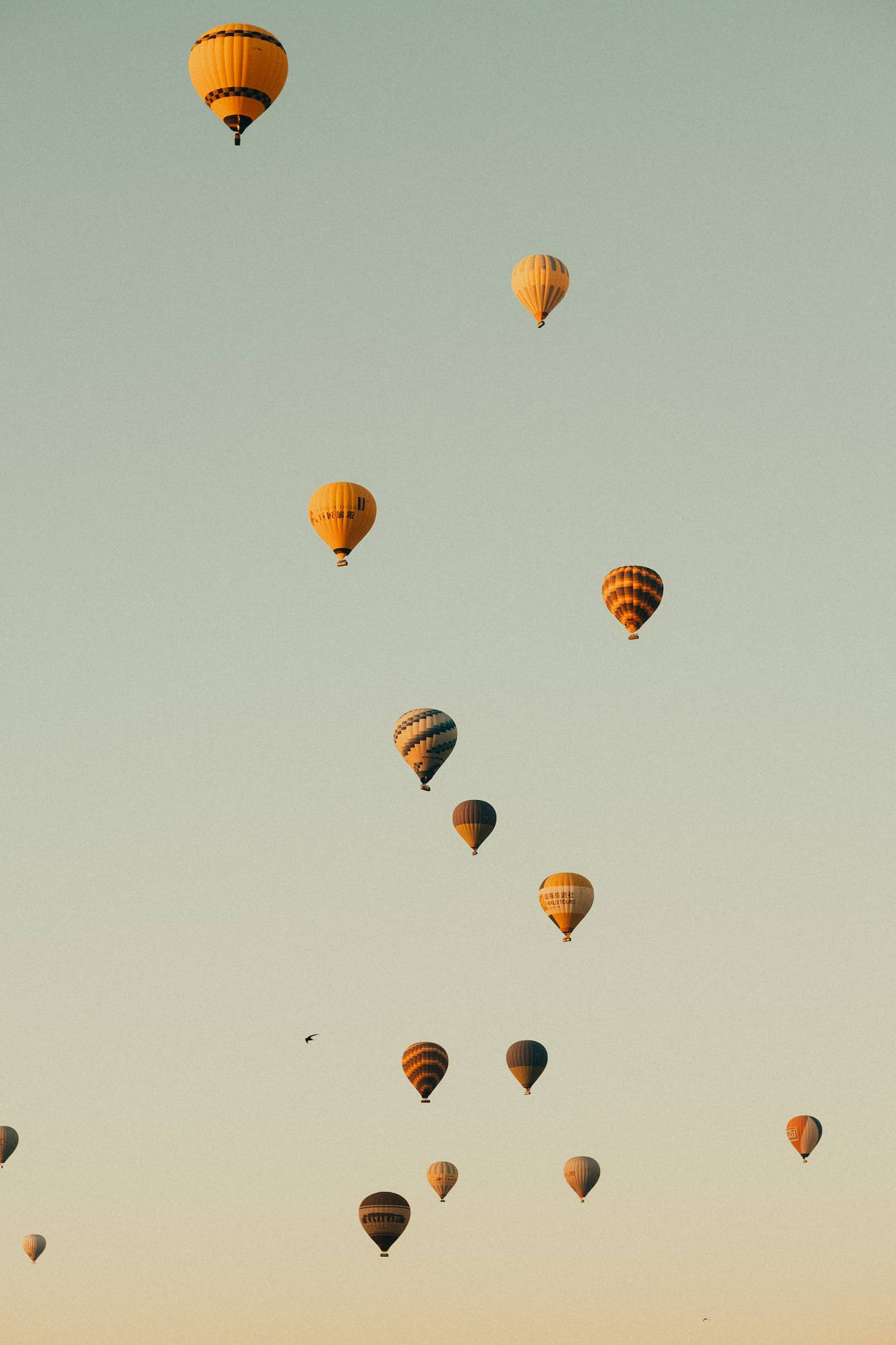 Top Pastel Phone Wallpaper Full Hd 4k To Use