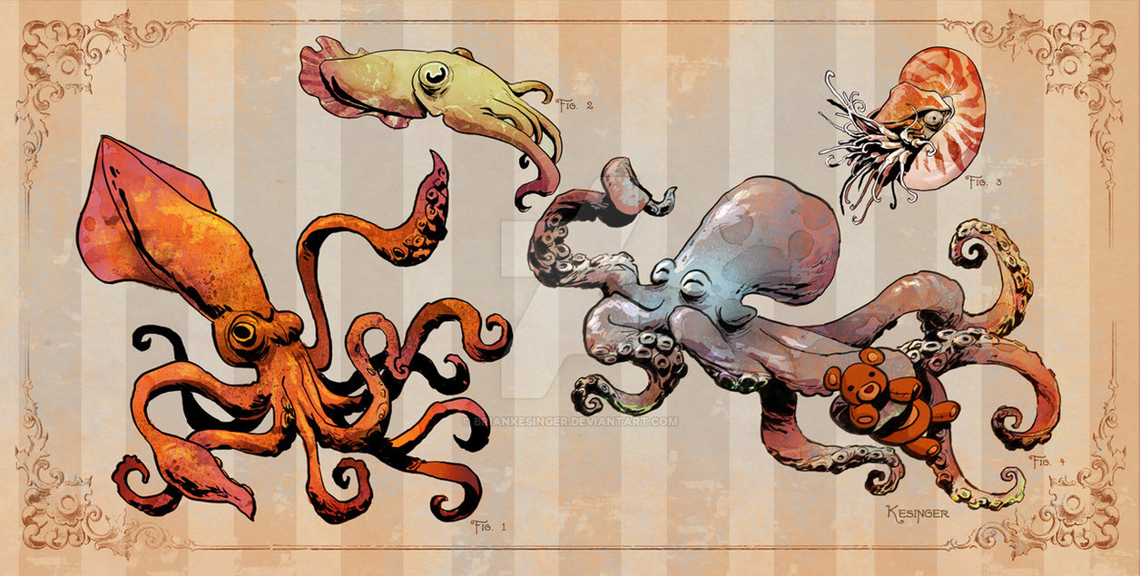 Cephalopods By Briankesinger