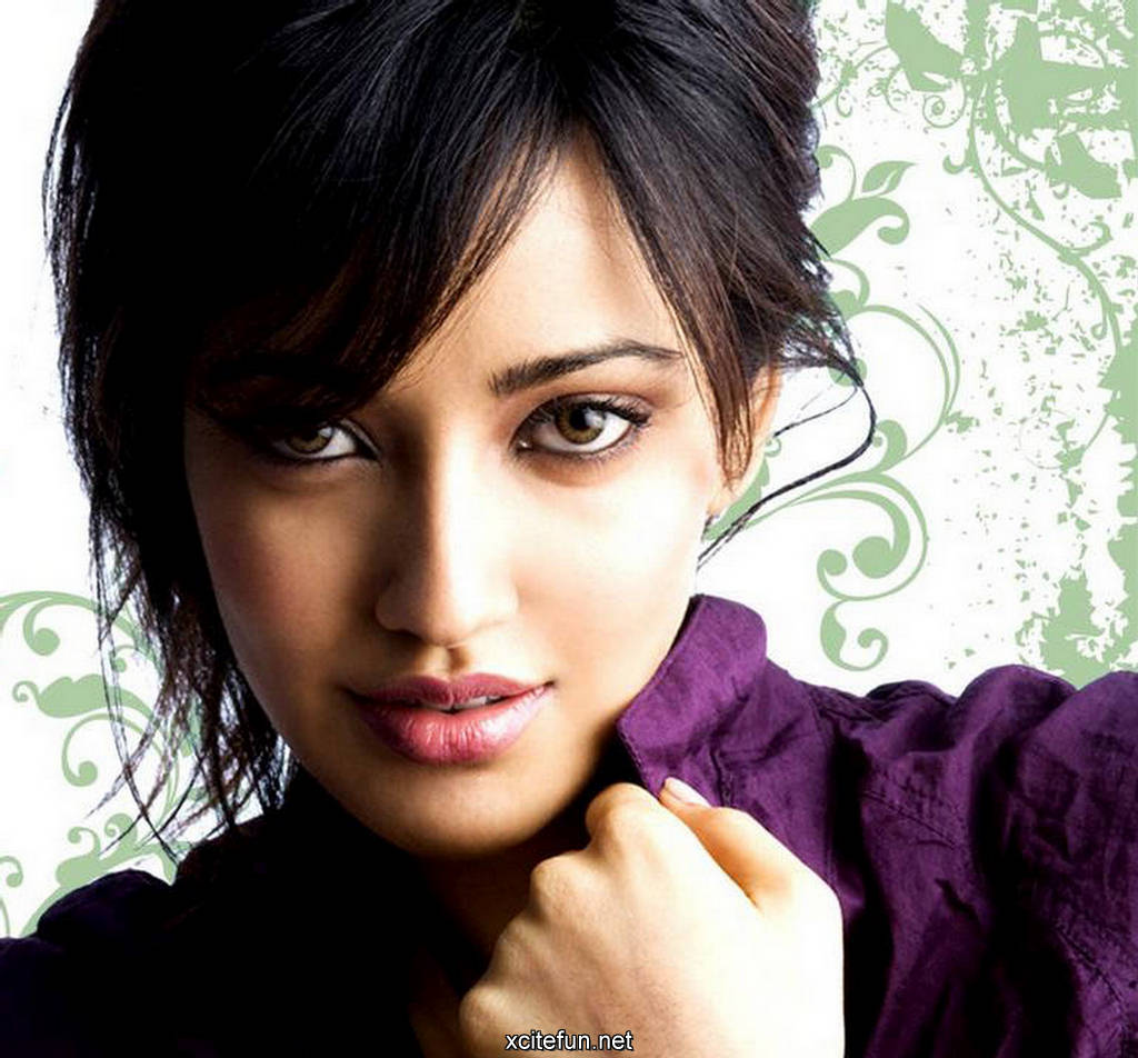 Neha Sharma Indian Actress Wallpaper Celebrities