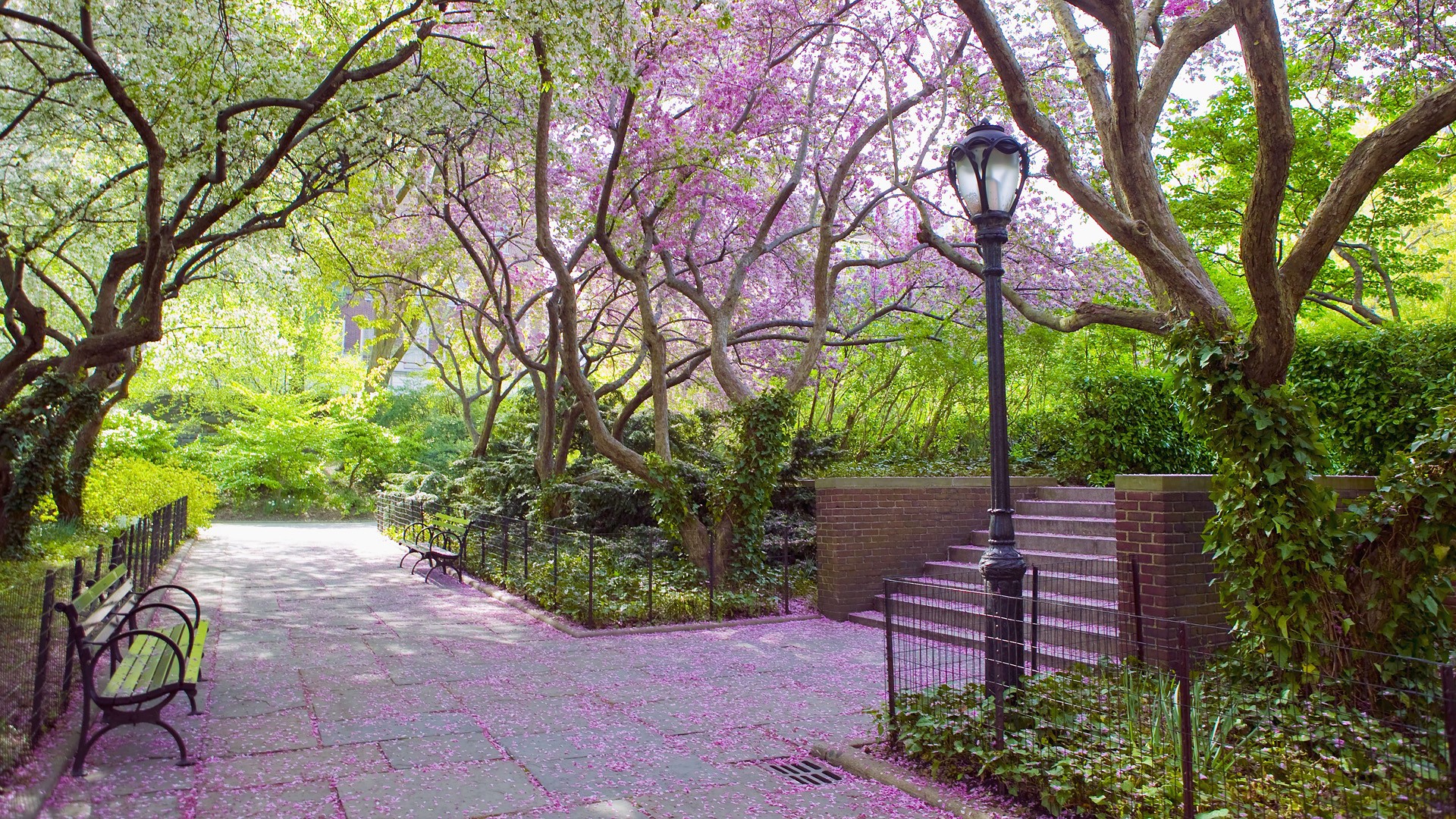 Garden Spring Wallpaper Central Park