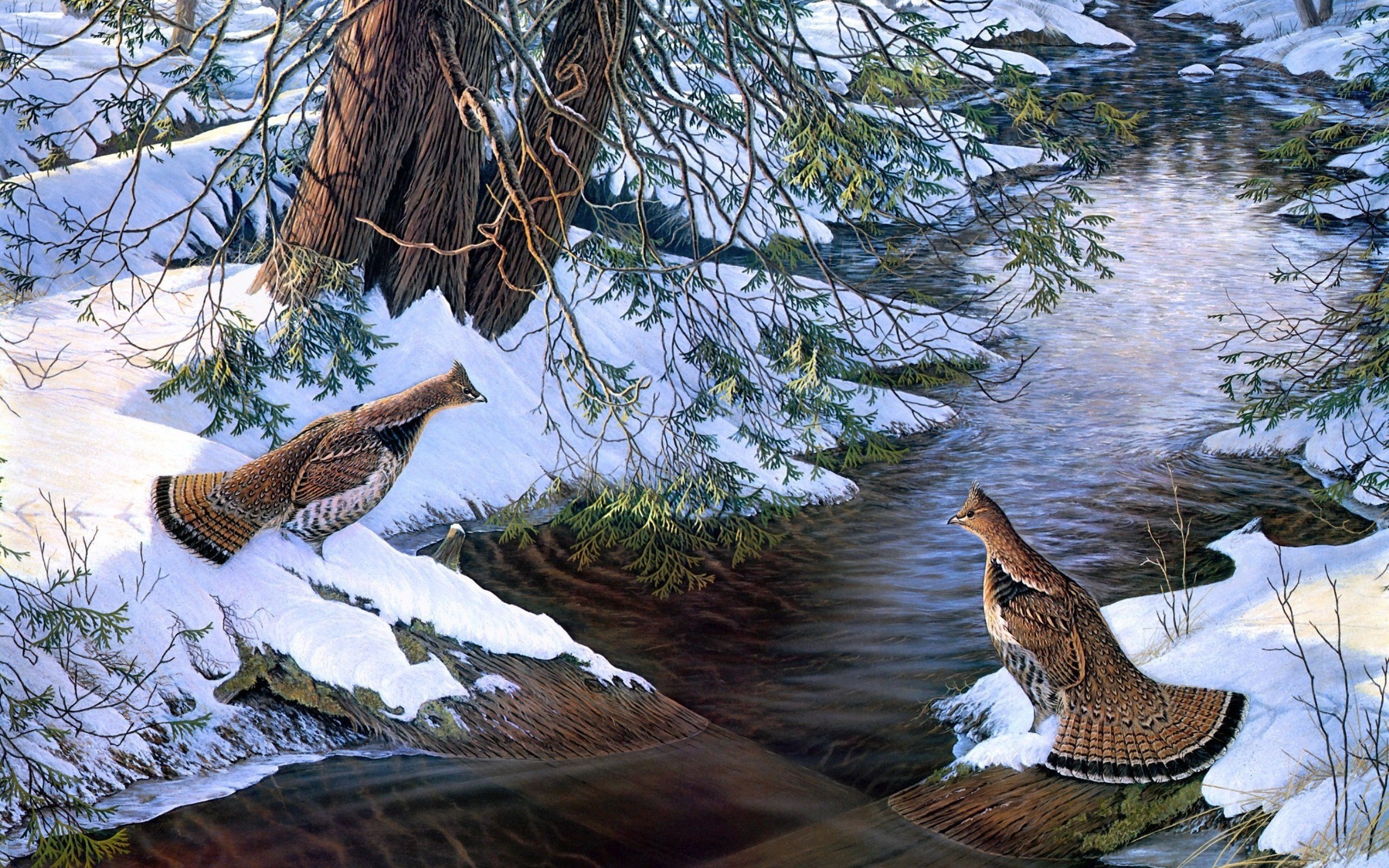 Paintings Snow Birds Creek Grouse Wallpaper