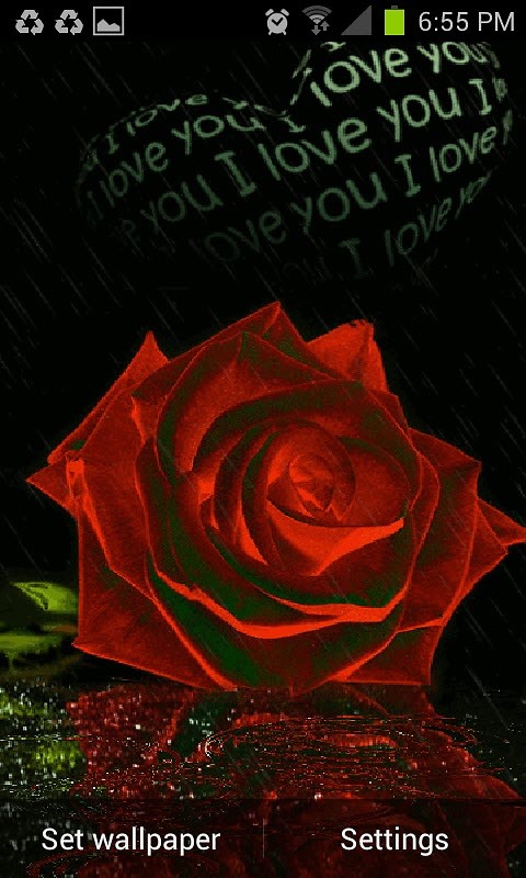 Android Live Wallpaper The Rose