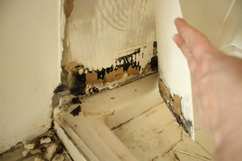 Black Mold Behind Drywall Guide Things You Need