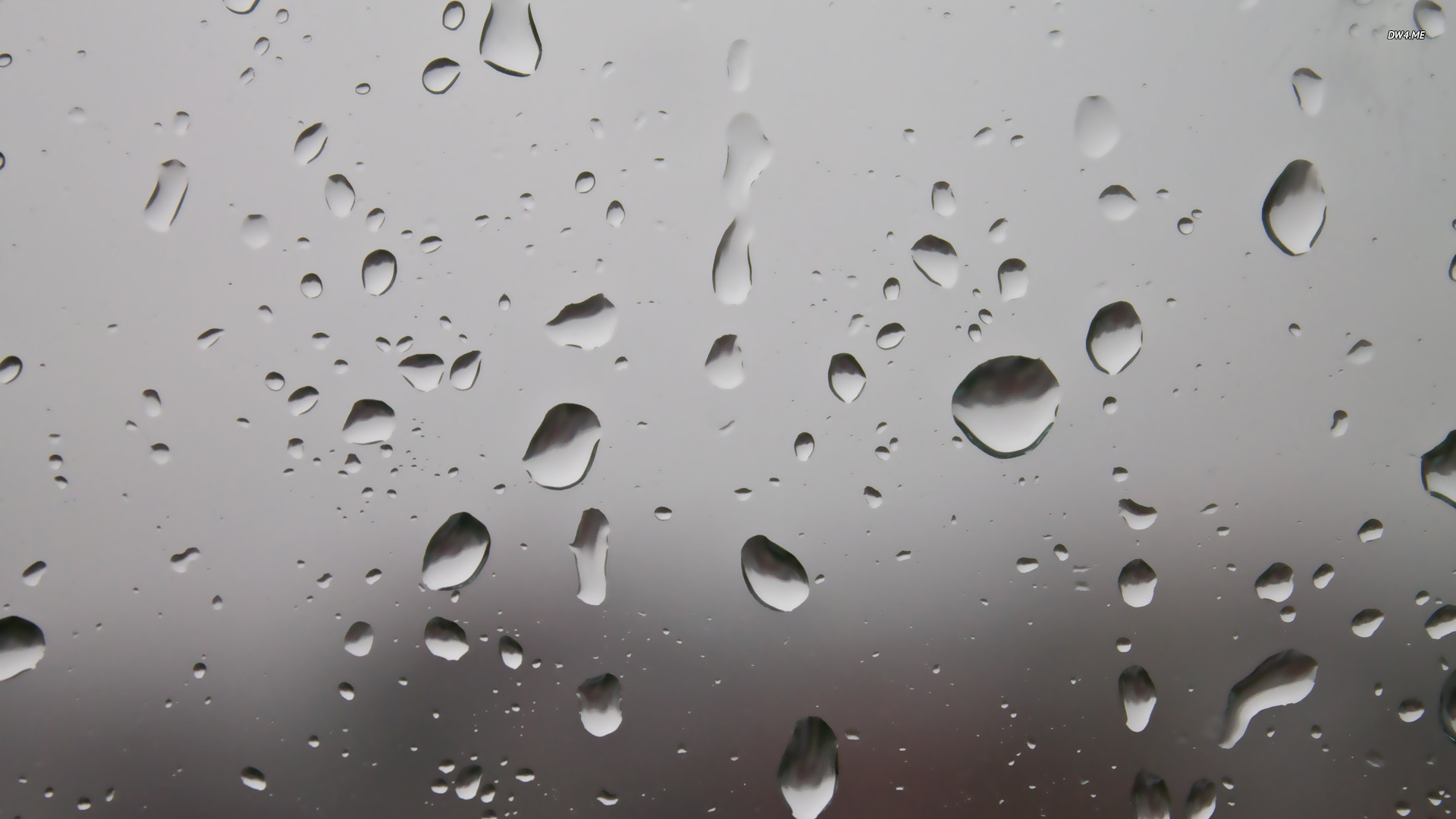 Raindrops on the window wallpaper   Photography wallpapers