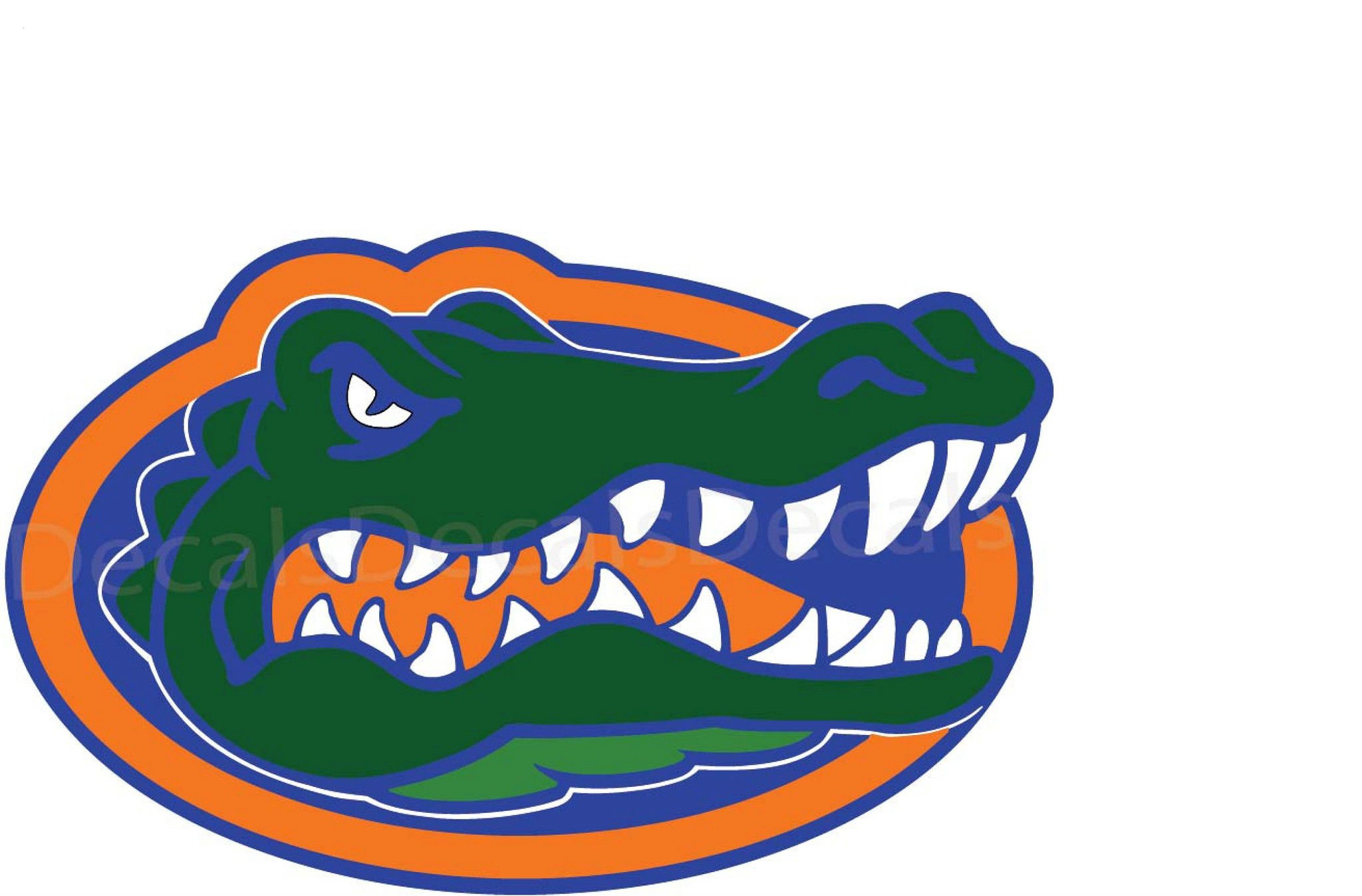 Florida Gators College Football Wallpaper Background