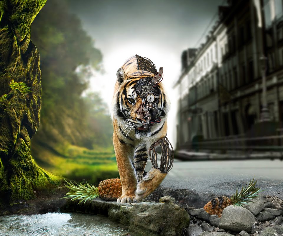 Animated HD Tiger Tablet Pc Wallpaper Background