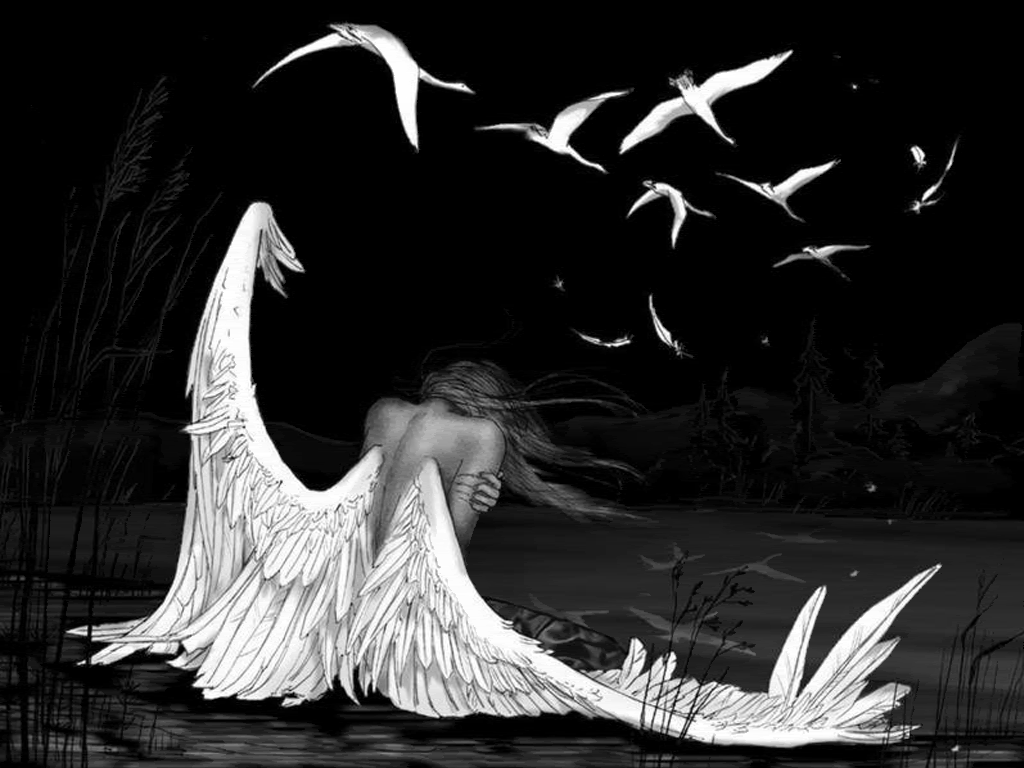 Angels images Fallen Angel HD wallpaper and background photos 1024x768