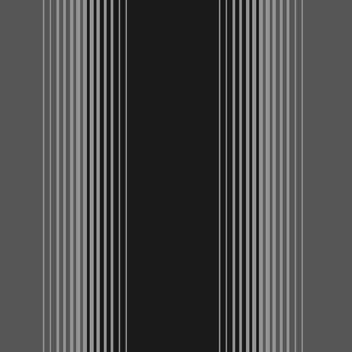 Wallpaper Fine Decor Zara Stripe Black