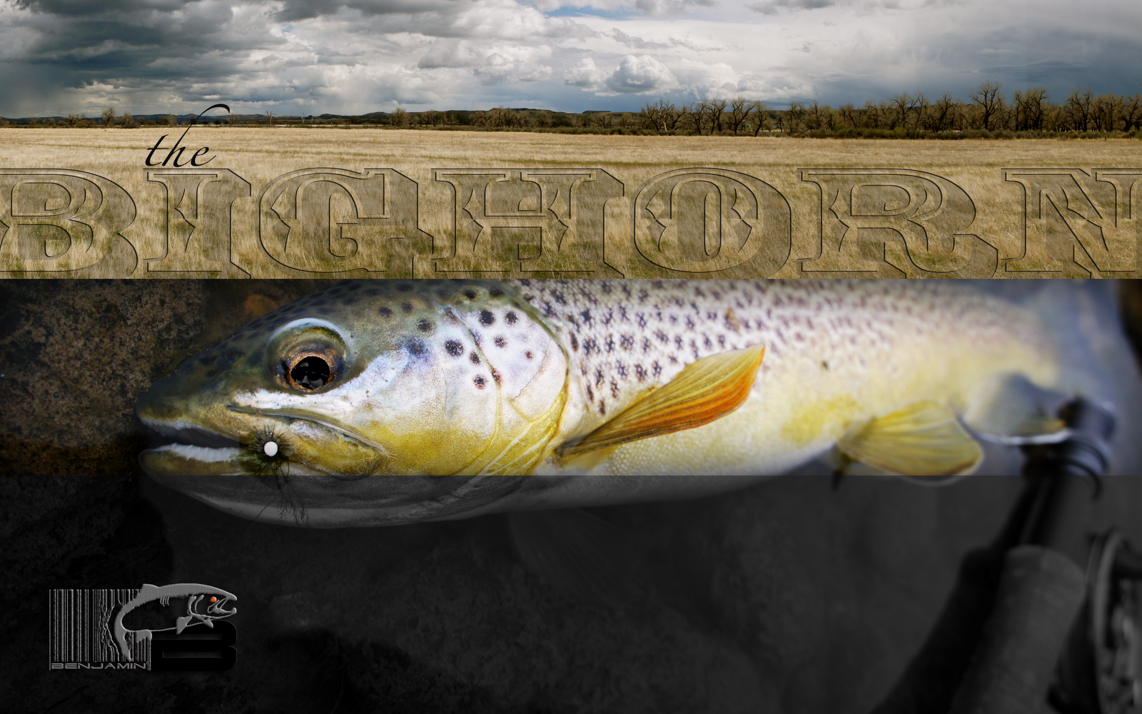 Trout Fishing Desktop Wallpaper