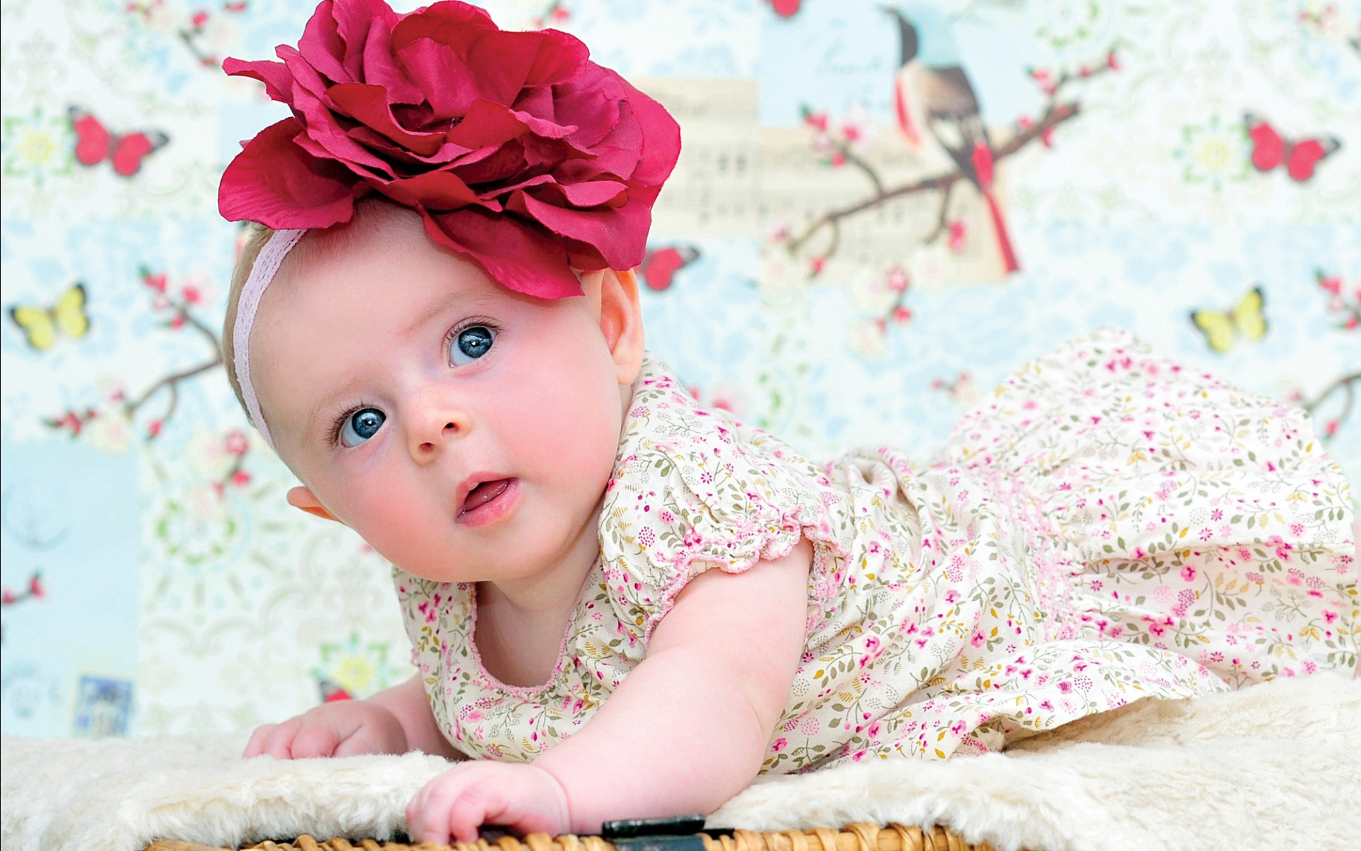 Cute Baby Girl Wallpaper Cool Pictures 6om8053a Yoanu