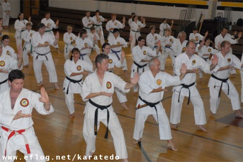 Karate Do Kung Fu Londrina Curitiba Blumenau Joinville Florian Polis