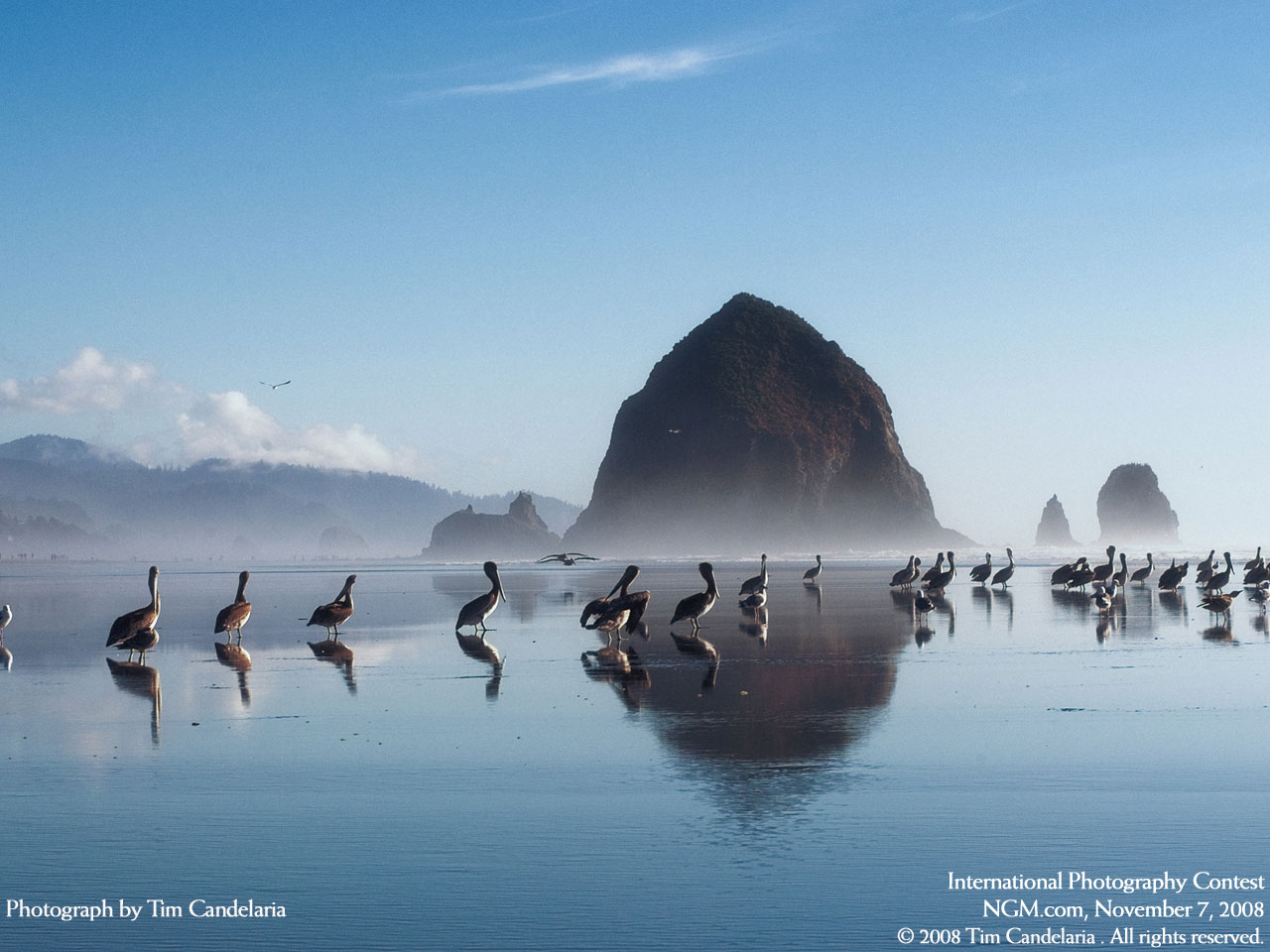 70 Wallpapers HD de National Geographic
