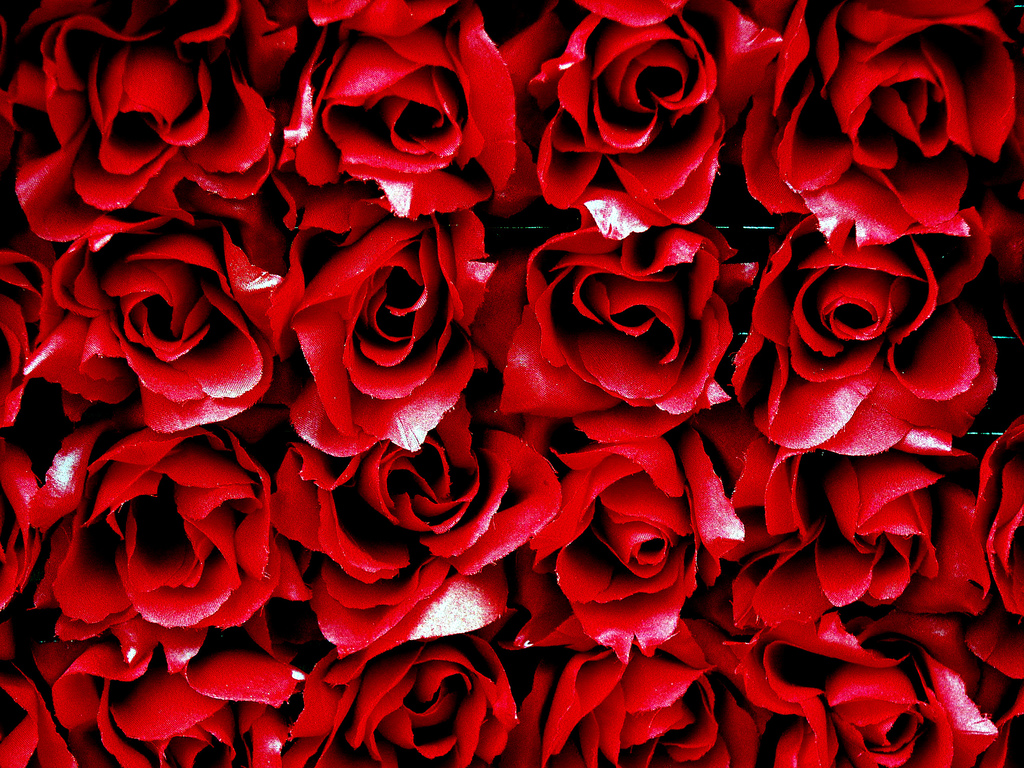 Bed Of Roses By Malona All Rights Reserved