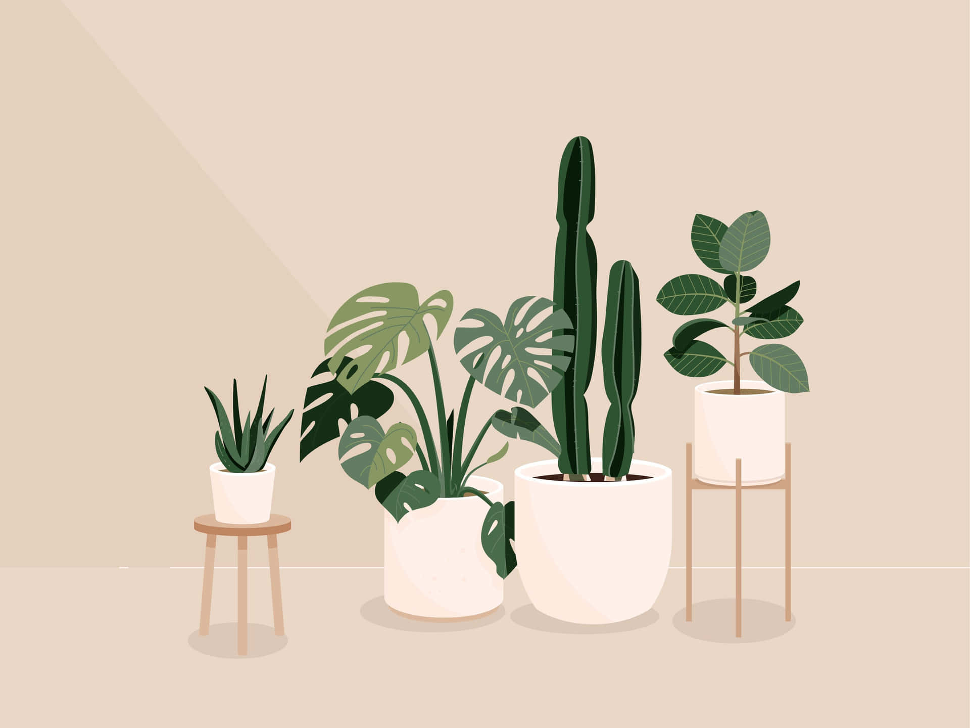 Plant Aesthetic Desktop Wallpaper