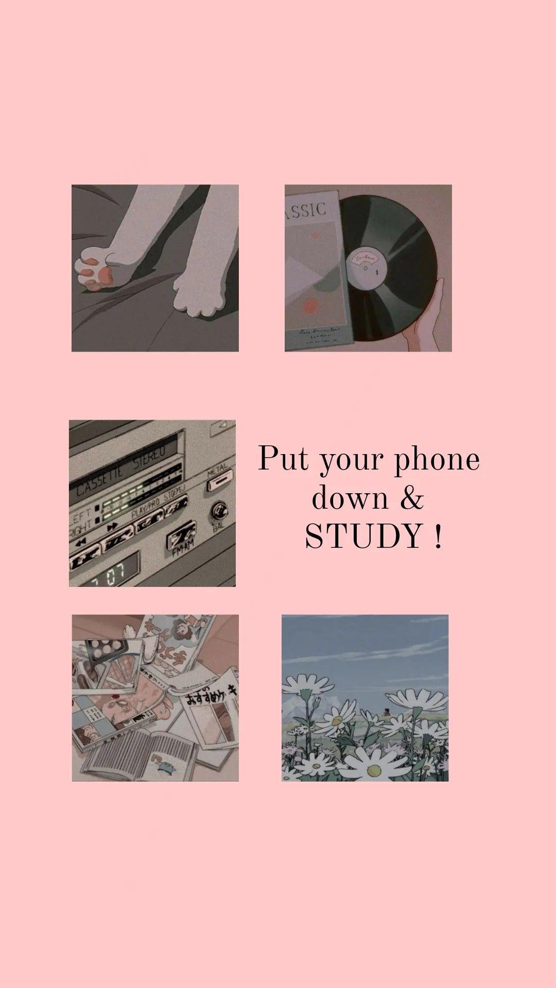 Free Download Study Motivation Anime Aesthetic Study Reminder Wallpaper