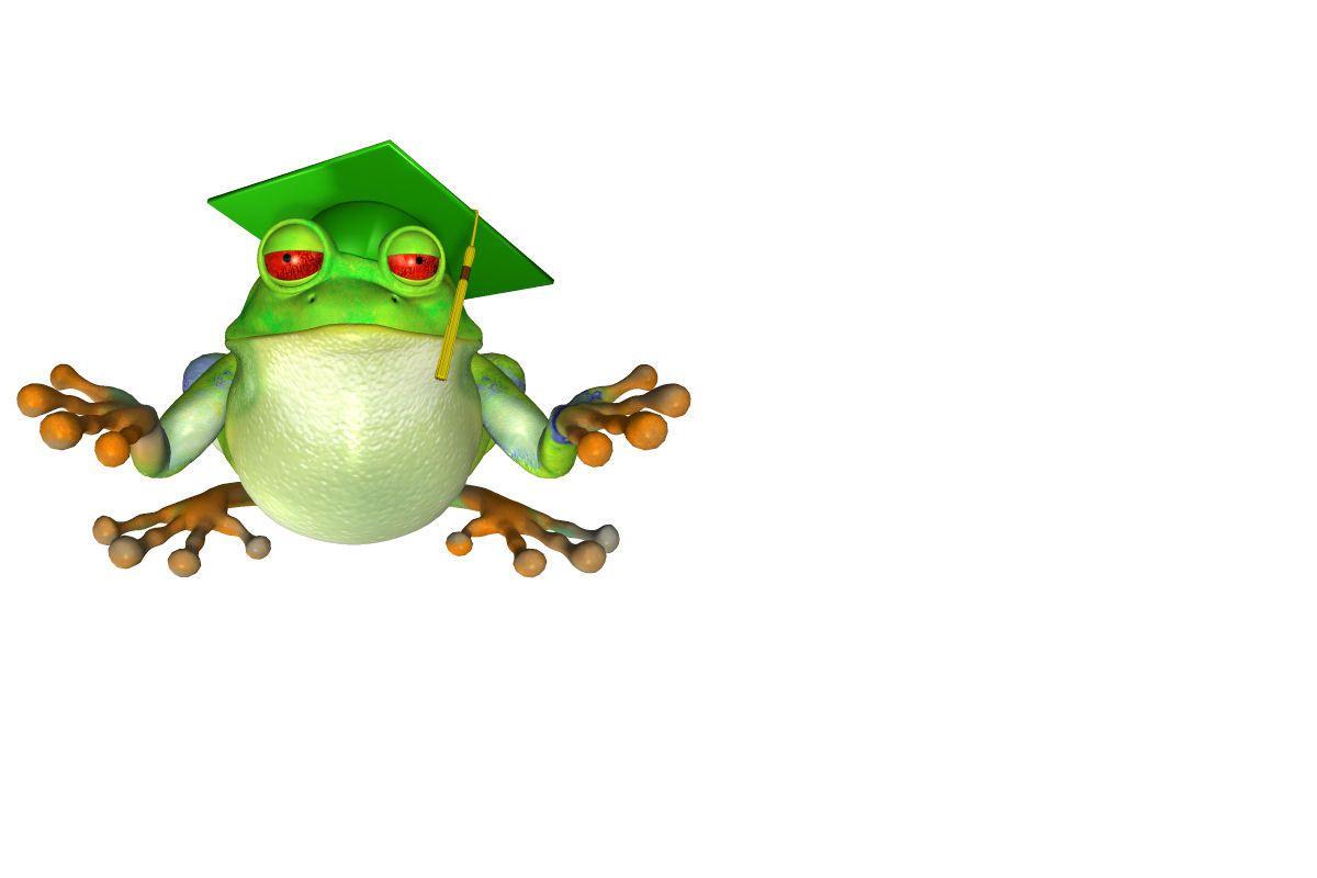 Cute Frog Backgrounds