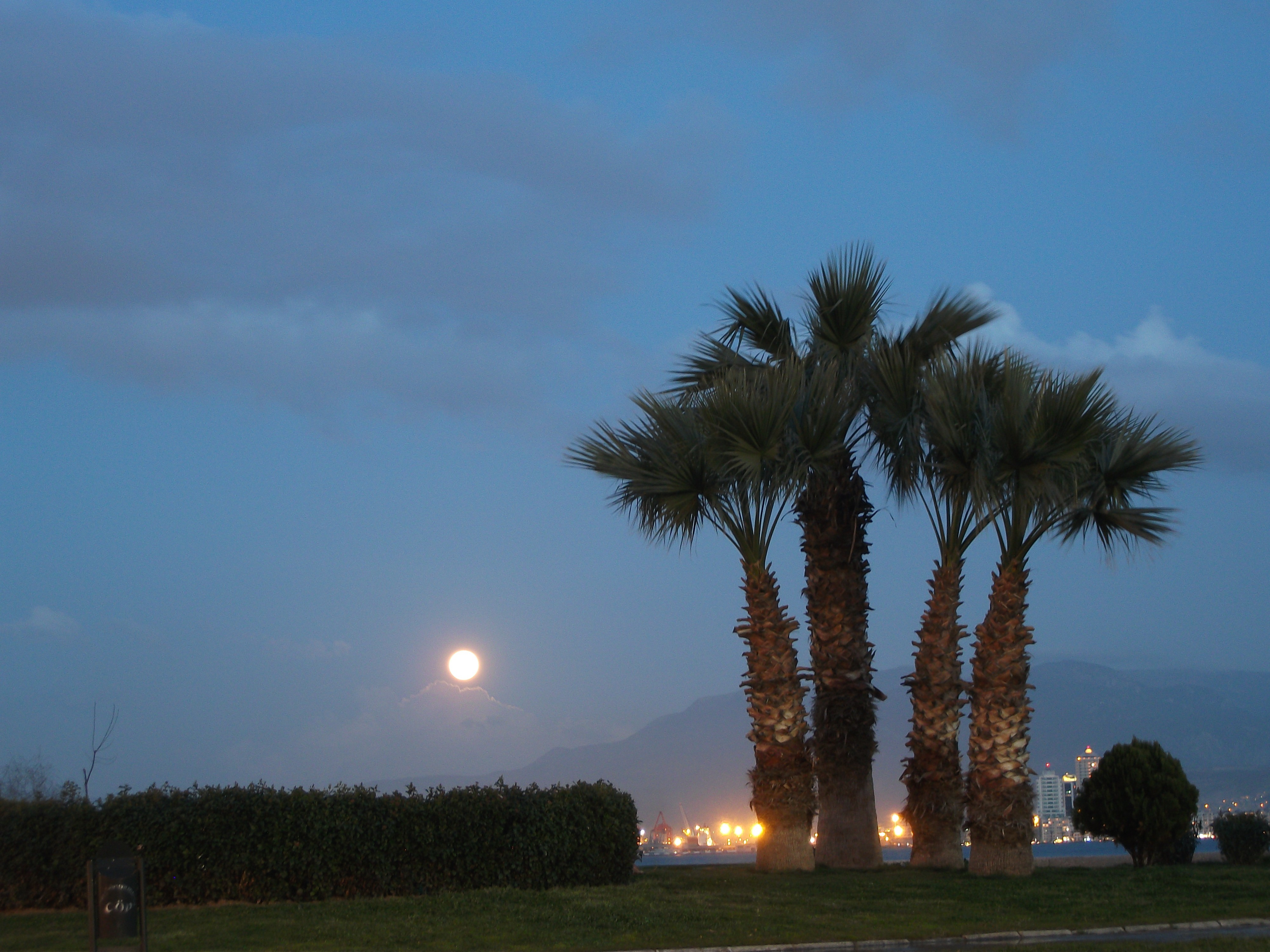 Moon Lovely Place Colored Trees Izmir Full Dual Screen