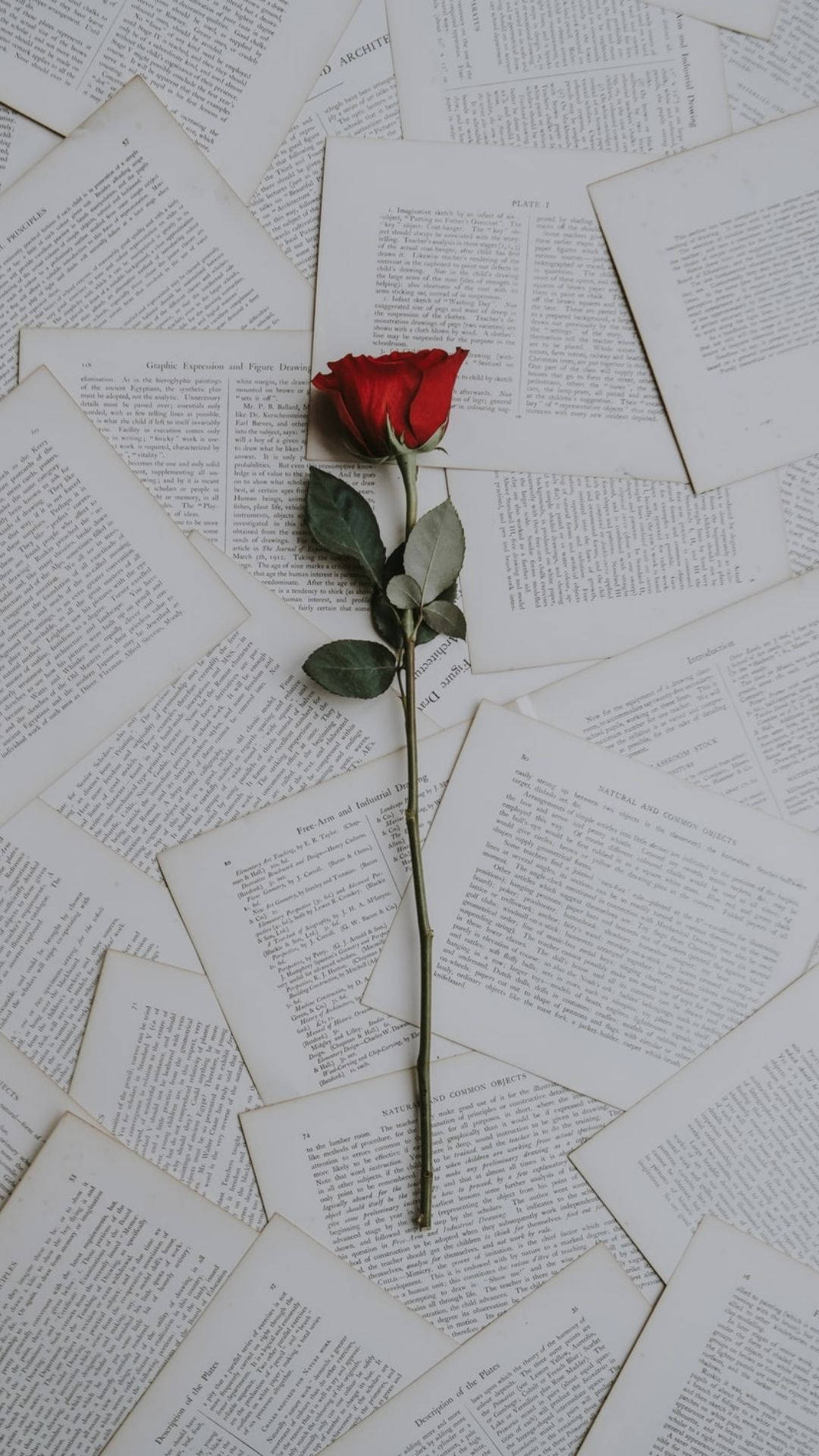 Love Aesthetic Wallpaper