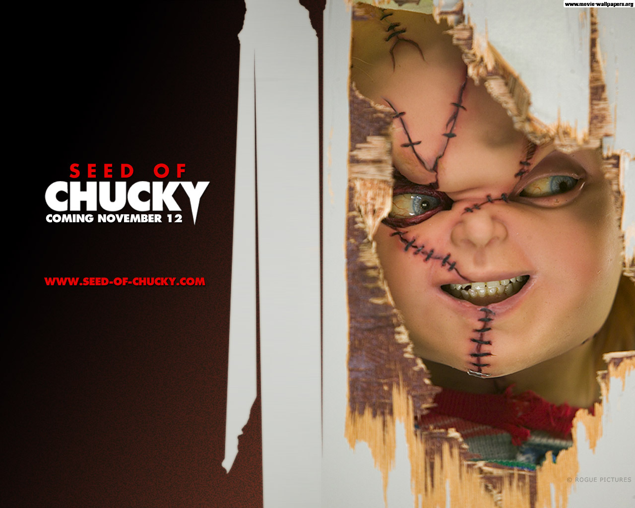 Chuckys A Stud Chucky HD Wallpaper Movies