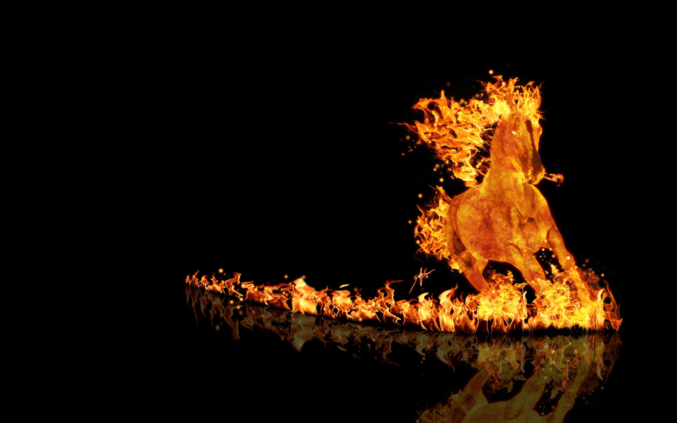 Horse Wallpaper Fire HD
