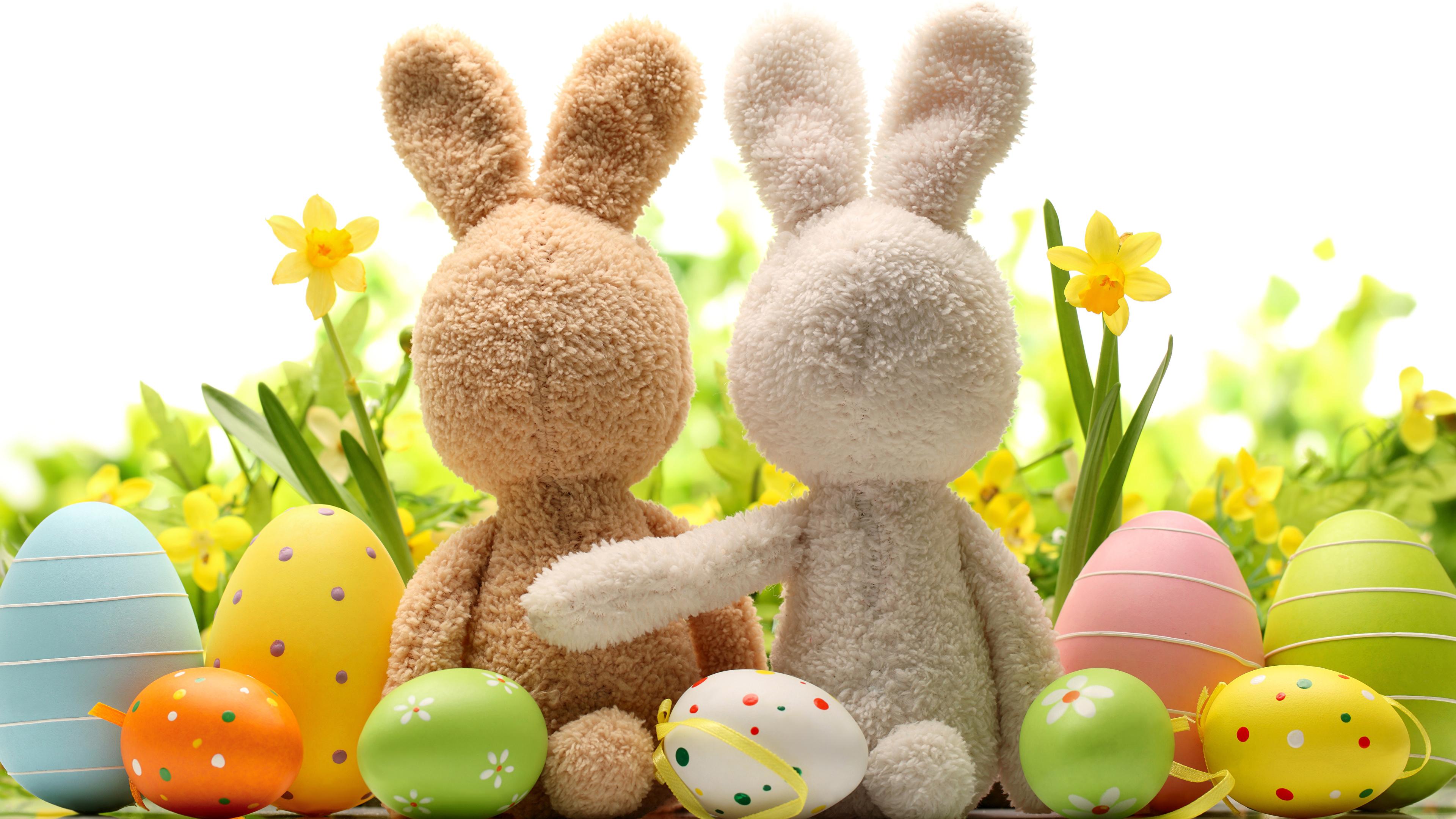 Image Easter Rabbits Egg Holidays White Background
