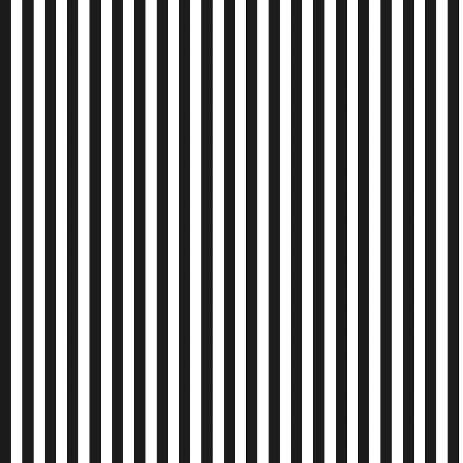 computer screen black and white stripes