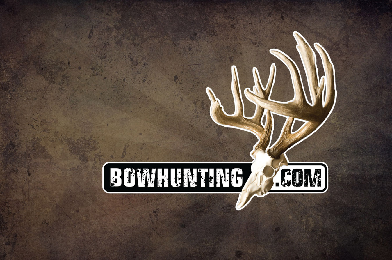 Background Archive Bowhunting