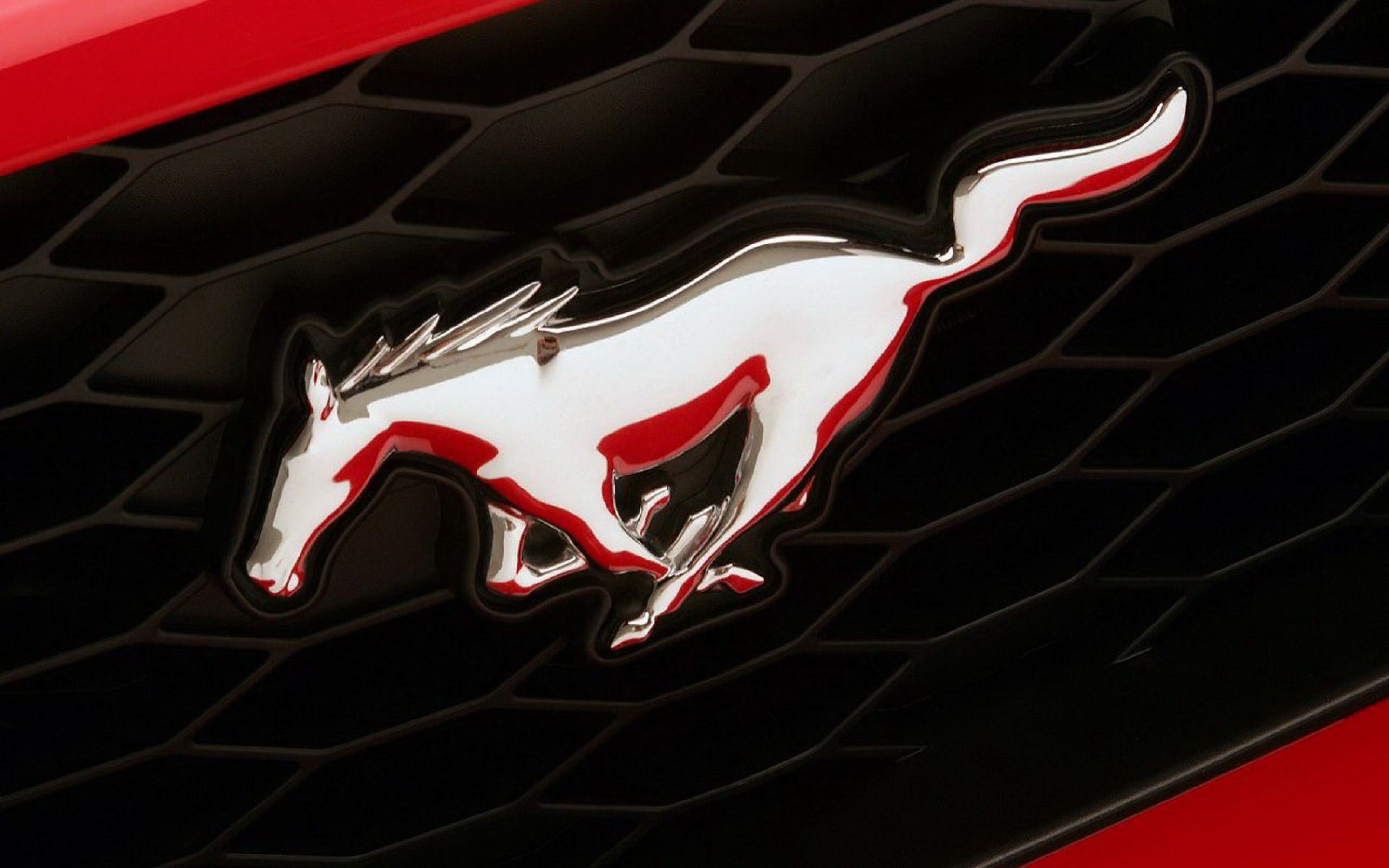 Mustang Logo wallpaper   1073164 2880x1800