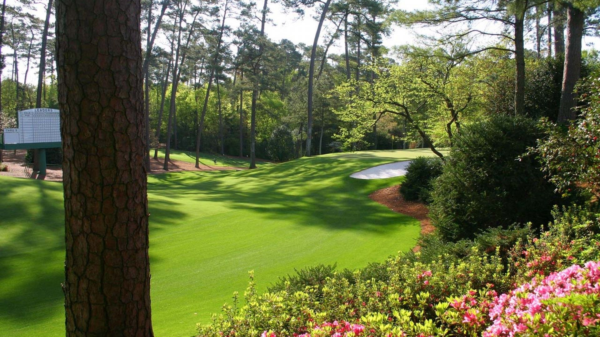 Augusta Golf Wallpaper