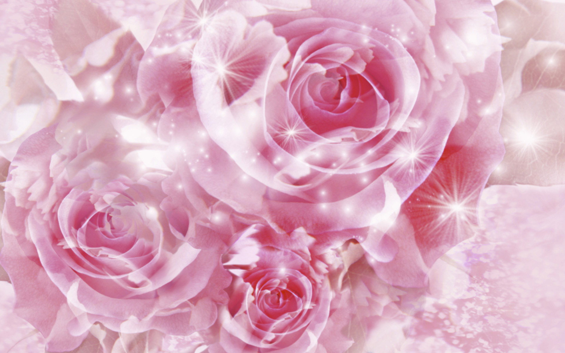 Close-up of a bouquet of pink roses, sparkling with a magical, ethereal glow. Perfect for a romantic or dreamy setting