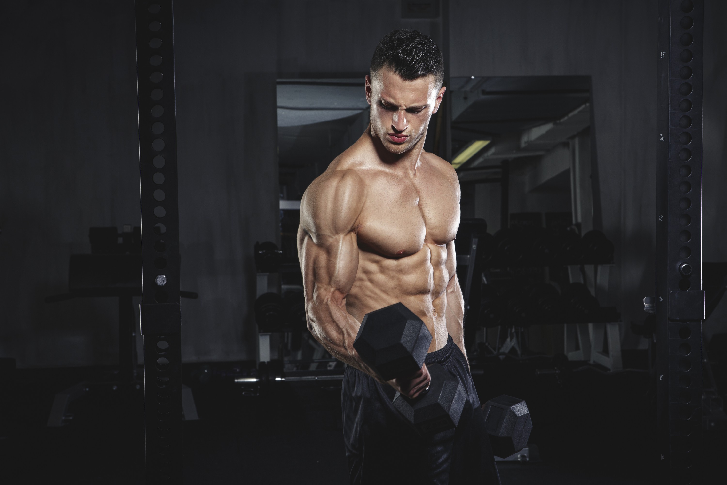 Bodybuilder HD Wallpaper And