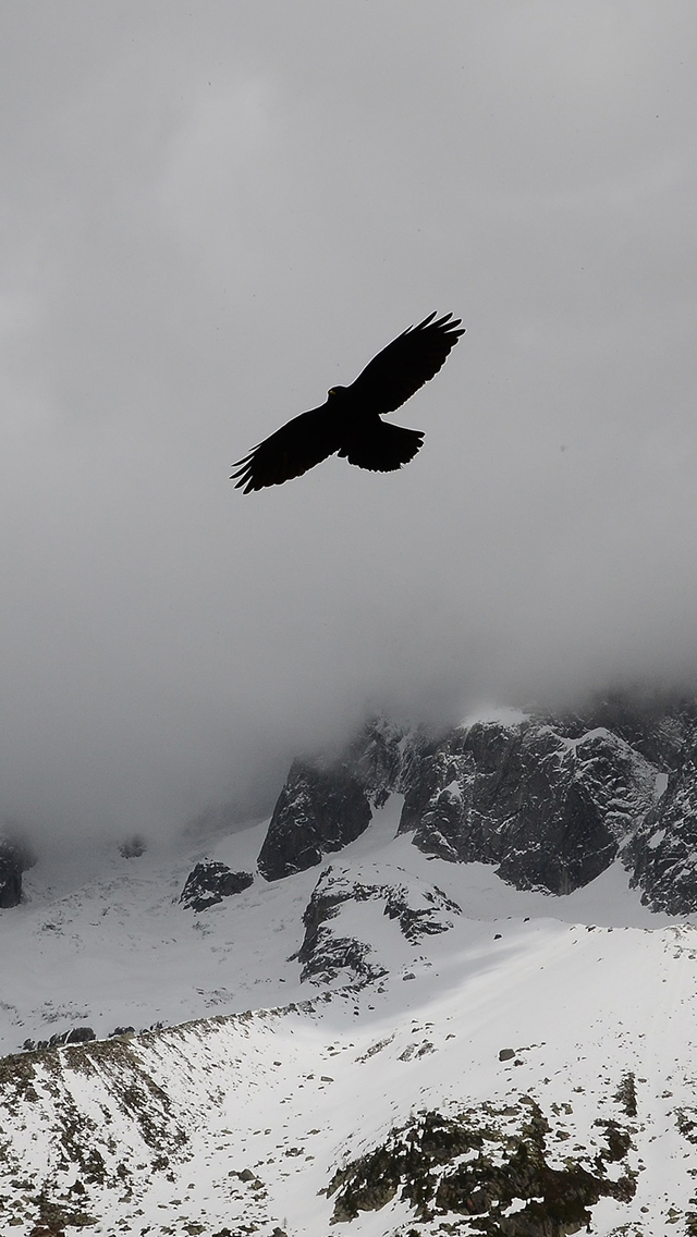 Eagle Flying Over Nature Winter Snowy Mountains iPhone Wallpaper