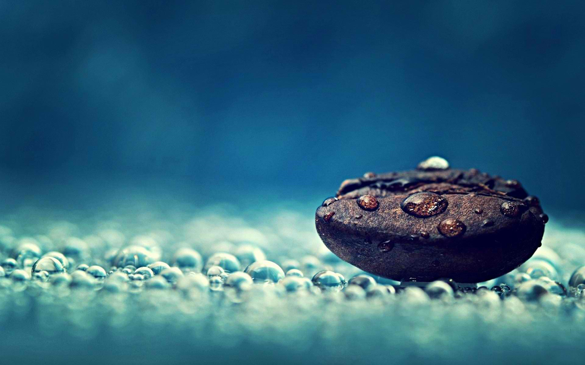 A close-up of a coffee bean glistening with water droplets, resting on a surface covered in tiny water bubbles against a blurred blue backdrop