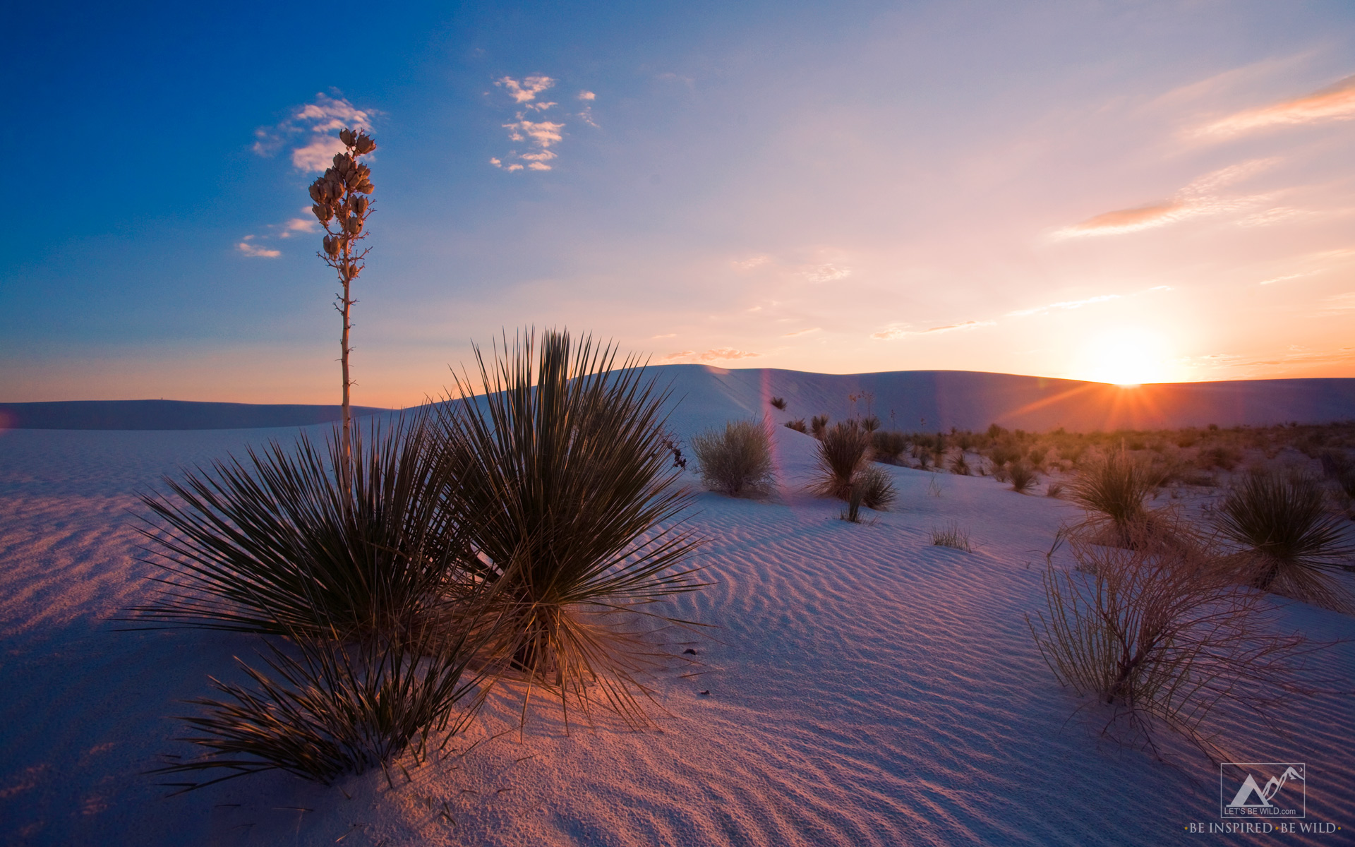 Weekly Wallpaper Sunset over White Sands LetsBeWildcom