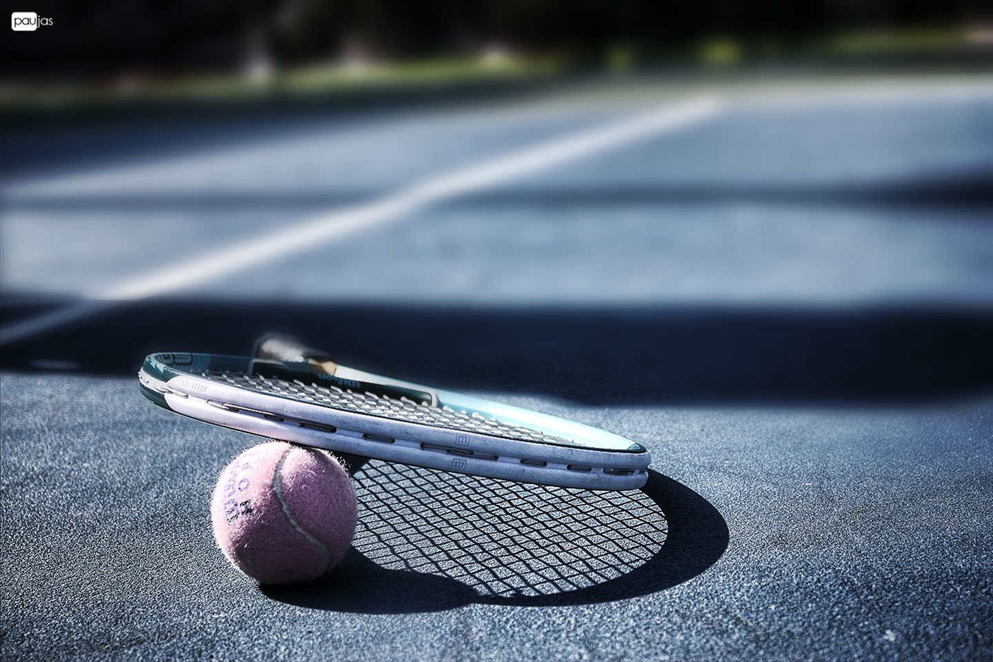 Tennis Gallery Racquet Wallpaper