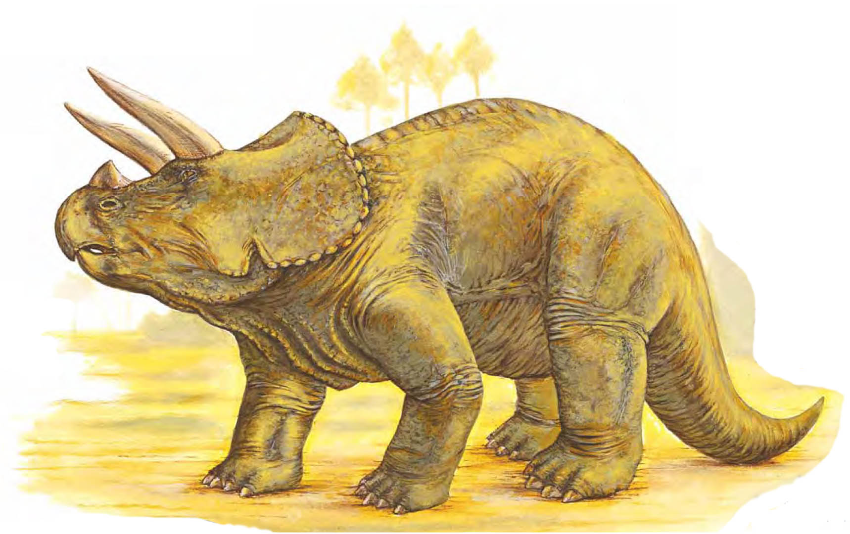 Triceratops Armoured Dinosaurs