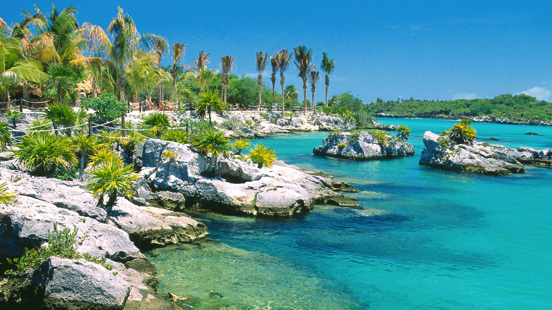 Xel Ha Marine Park Cancun Mexico Wallpaper
