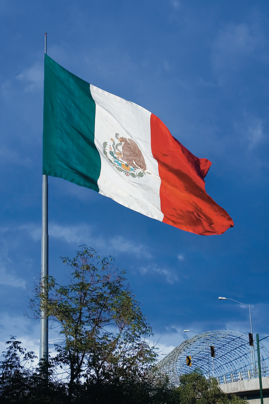 Mexico Flag Wallpaper 