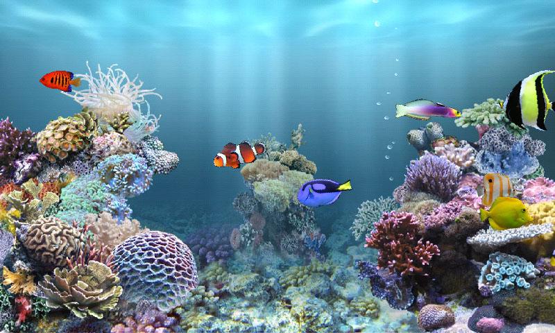 Anipet Marine Aquarium HD Applications Android Et Tests Androidpit