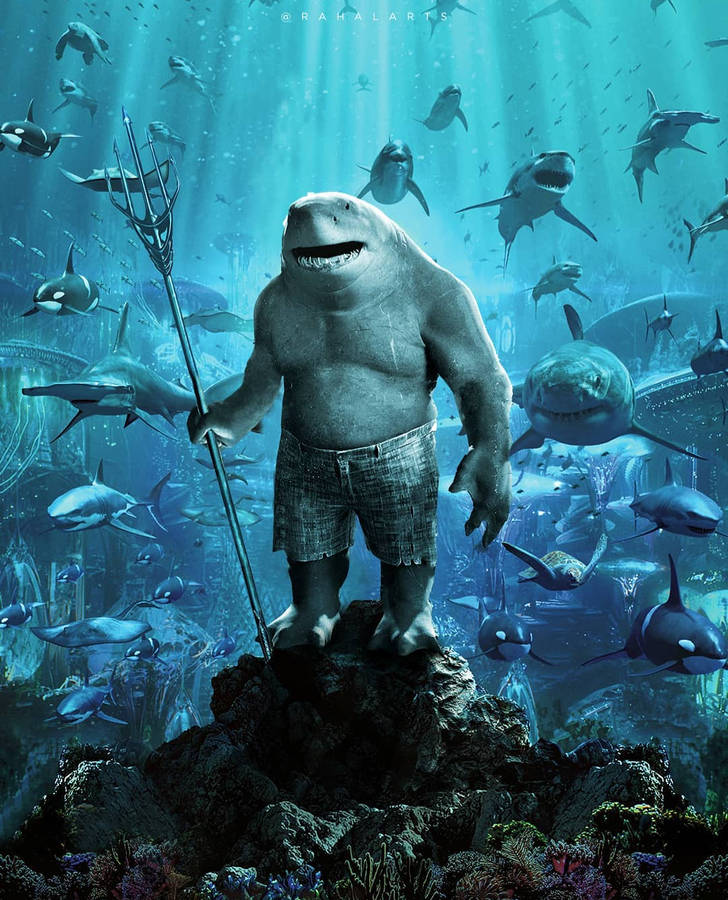 40 King Shark DC Comics HD Wallpapers and Backgrounds
