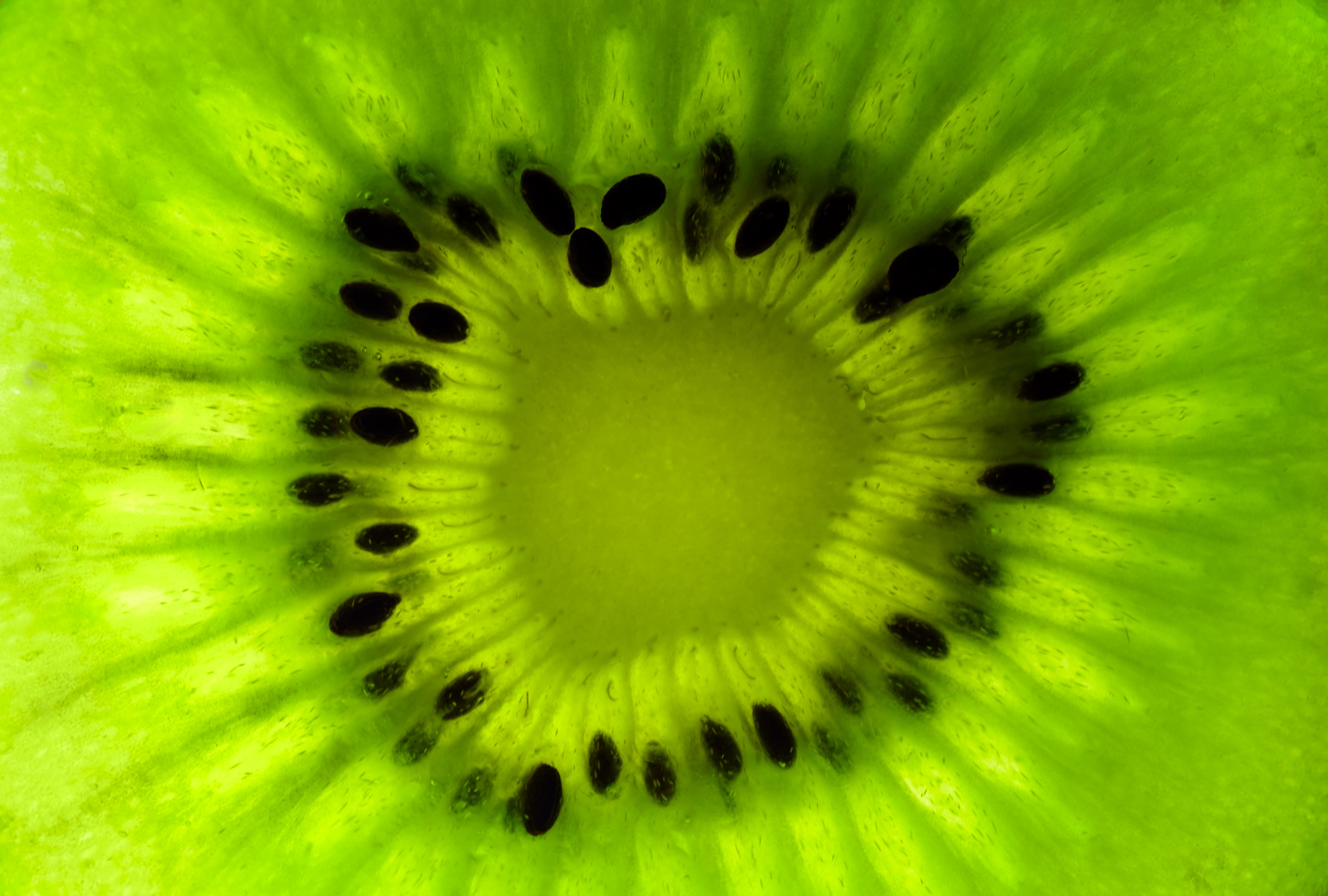 Kiwi Pictures Background Wallpaper