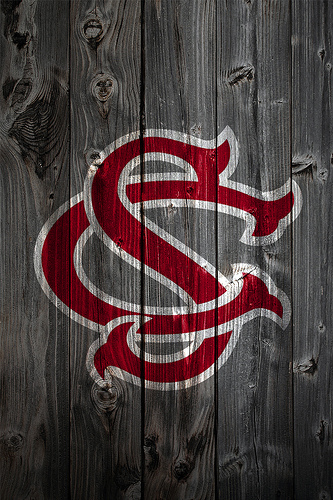 South Carolina Gamecocks Alternate Logo Wood iPhone 4 Background   a 333x500
