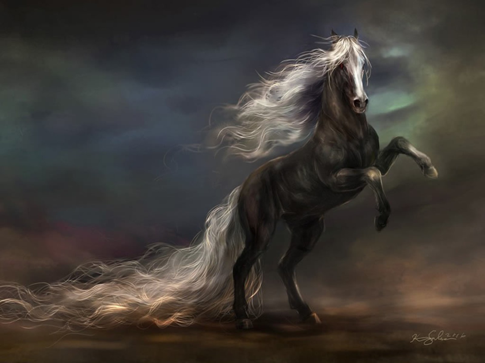 majestic dark horse Wallpaper Background 26412