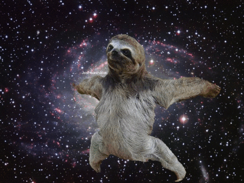 sloths in space Tumblr 500x375