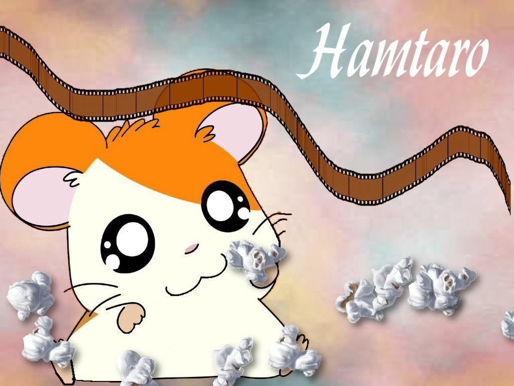 Hamtaro Cartoon Photos And Wallpaper