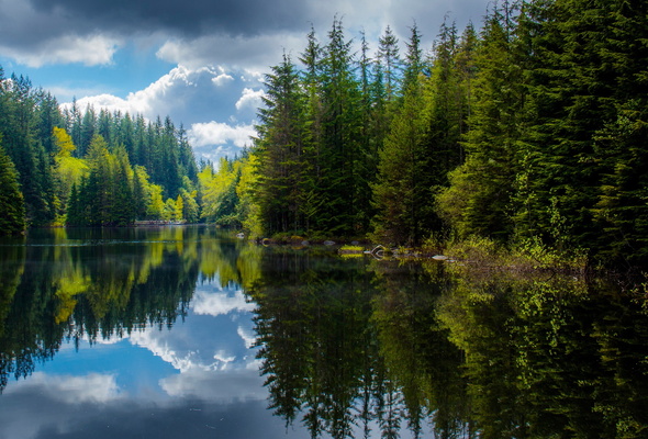Wallpaper Canada British Columbia Lake Forest Reflection Tree