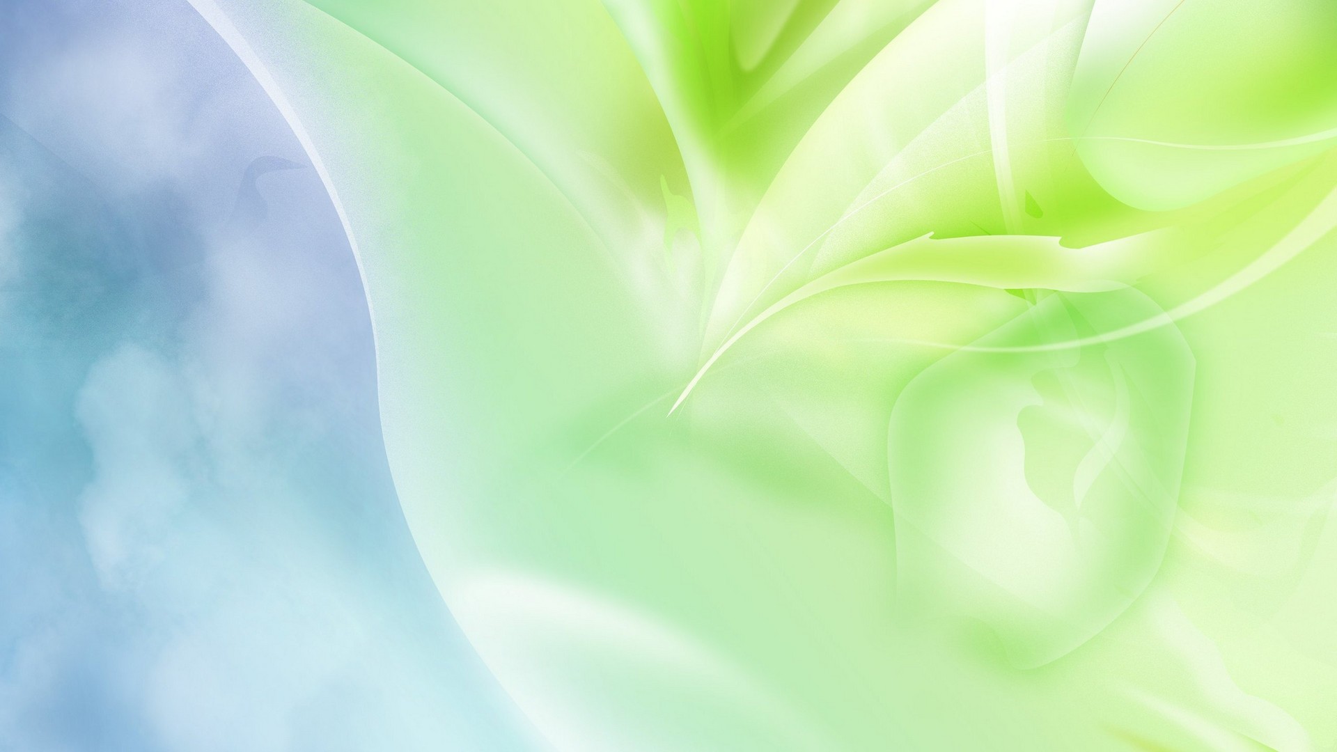 Best Light Green Wallpaper