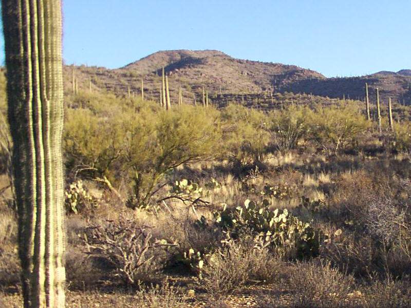 Wallpaper Photographs Of The Tucson Mountain Park Near Arizona