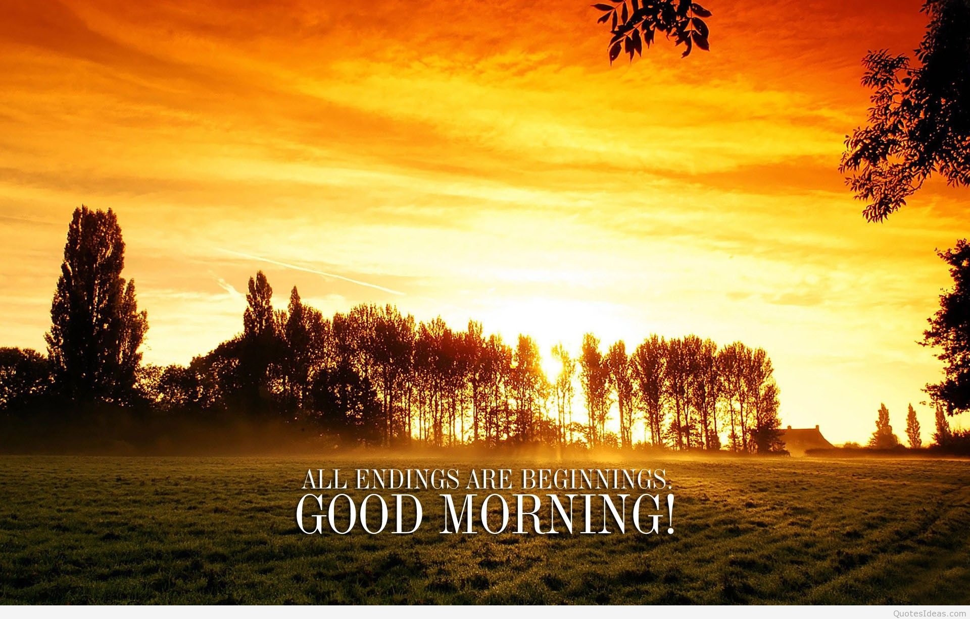 Good Morning Quotes Image Sayings Wallpaper HD Art