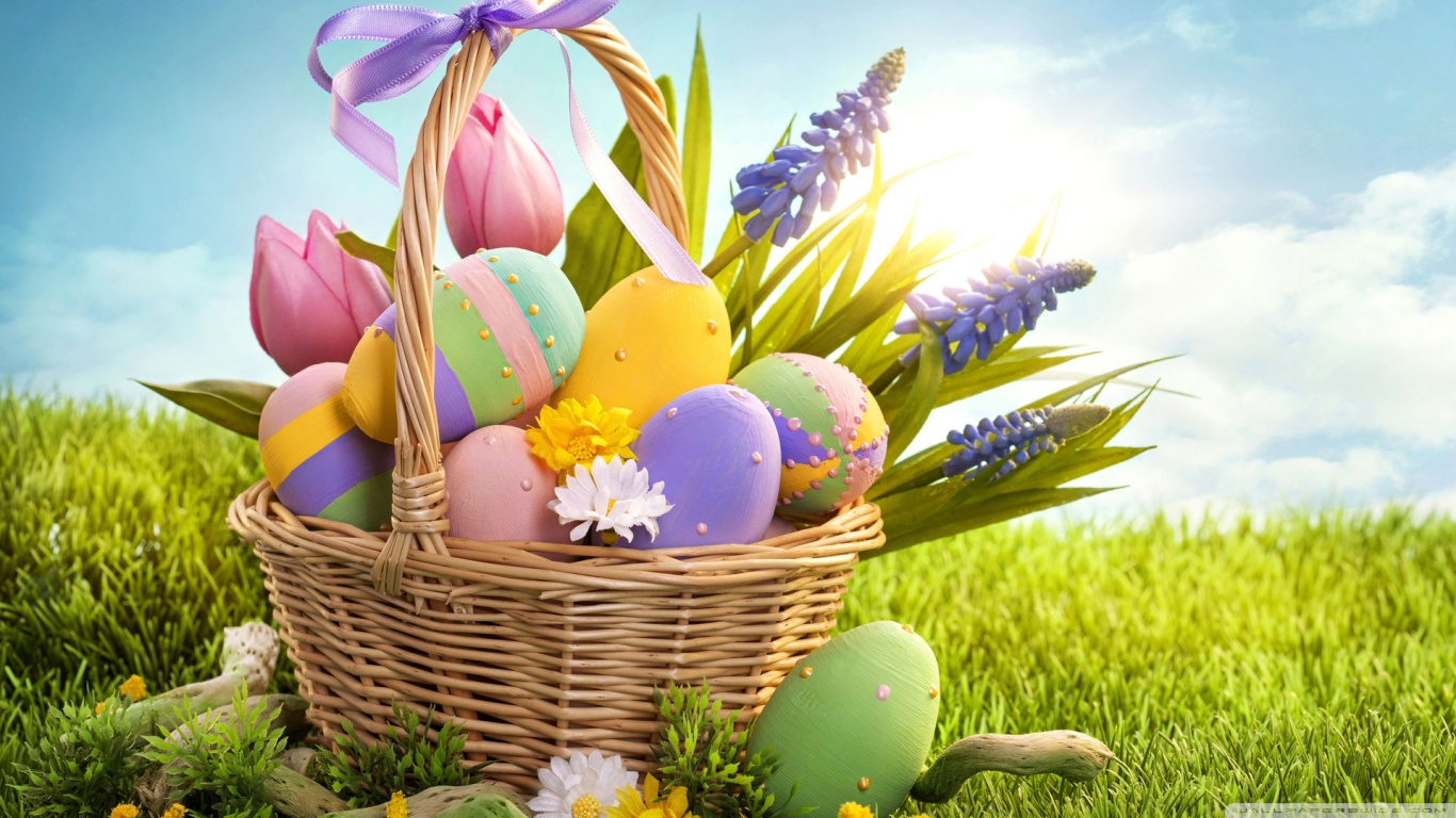 Easter Eggs HD Desktop Wallpaper Widescreen High Definition